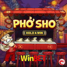 A Experiência Imersiva dos Cassinos Ao Vivo no Winbet